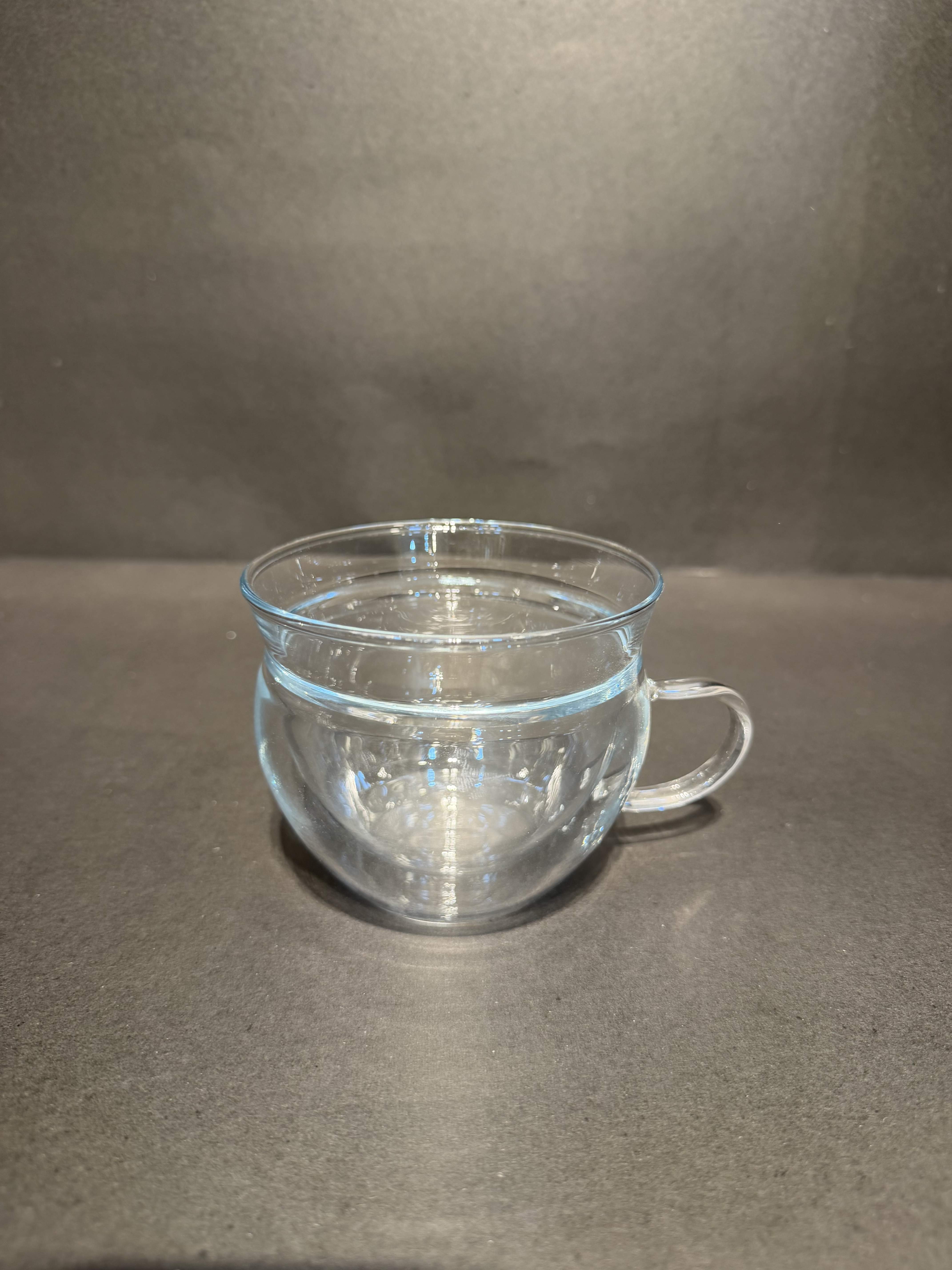 Double Wall Mug
