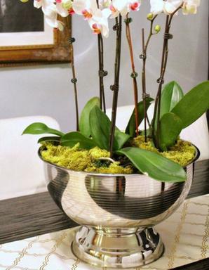 Flower Vase (12'')